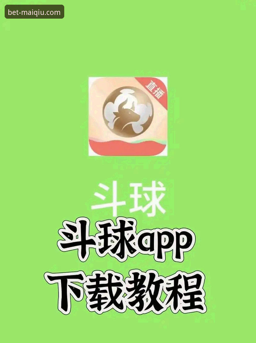 如何高效使用买球app官方网站手机版？一个实战派用户的完整指南